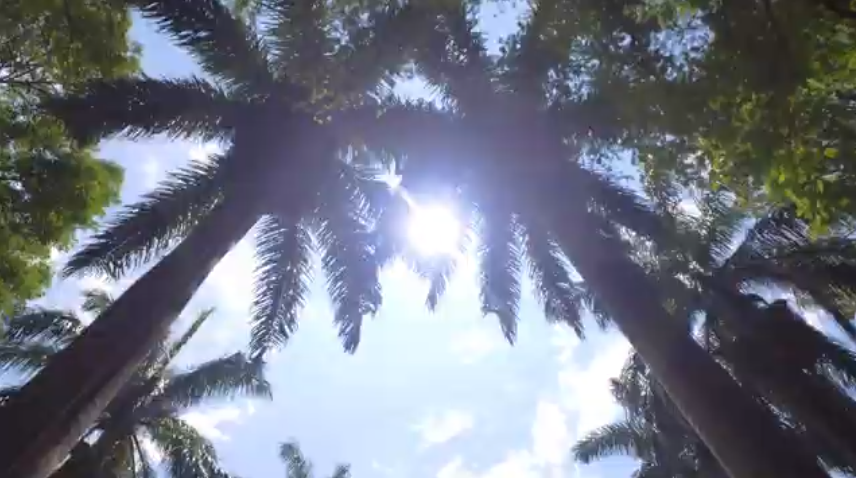 Captura de pantalla 2026 06 04 131857