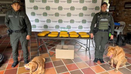 Max y niña: los caninos antinarcóticos que detectaron gran cantidad de cocaína en Belén Max y niña: los caninos antinarcóticos que detectaron 20 kilos de cocaína en Belén