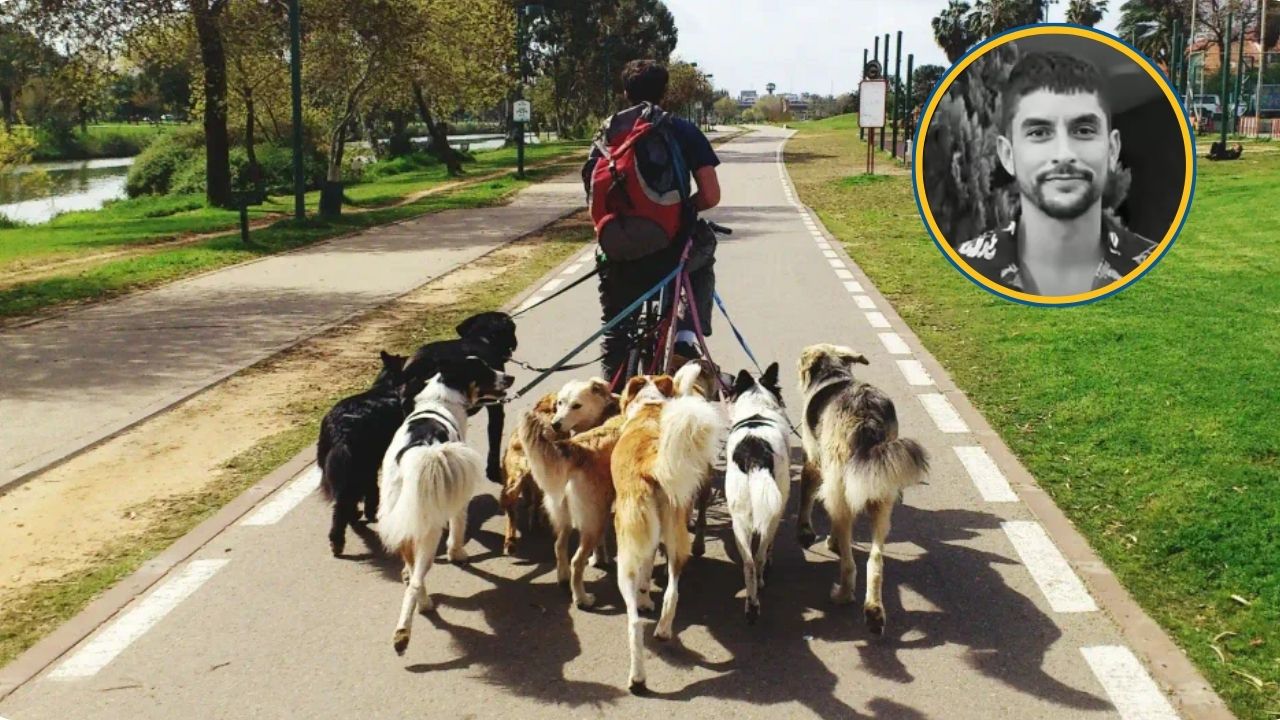 17 años de prisión al hombre que mató a paseador de perros luego de una discusión en Rionegro