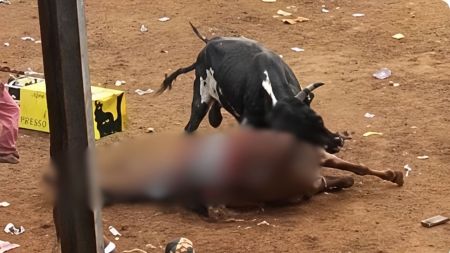 Jornada de corralejas en El Bagre: un caballo muerto y siete más heridos
