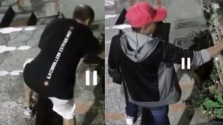 ¿Se les están llevando la herencia? Familia en Castilla denuncia que les estarían robado las plantas