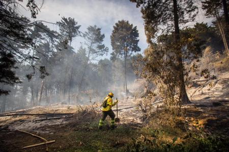 WhatsApp Image 2026 06 04 at 10.13.24 AM