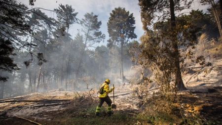 Medellín refuerza medidas para prevenir incendios en temporada de menos lluvias