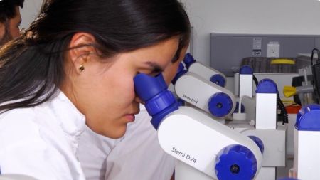 Más de 5.000 millones de dólares ha generado el turismo académico en Medellín