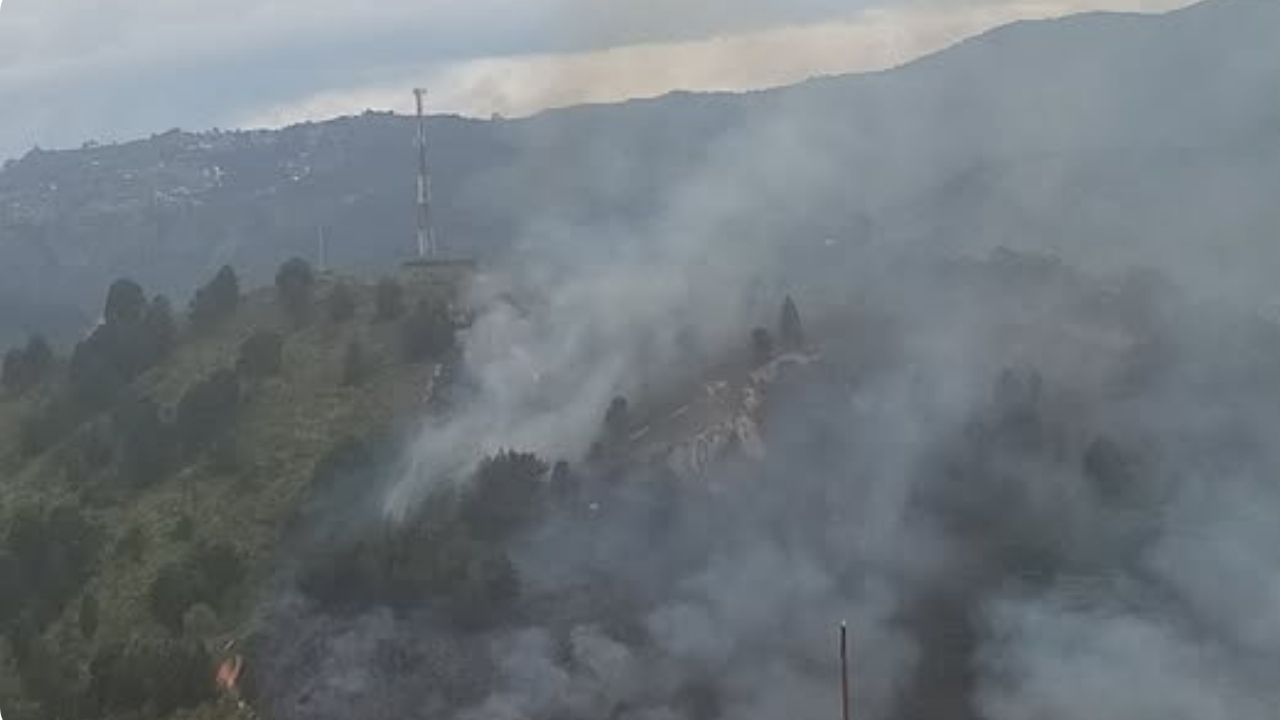 Emergencia en San Cristóbal: Bomberos trabajan para controlar incendio forestal