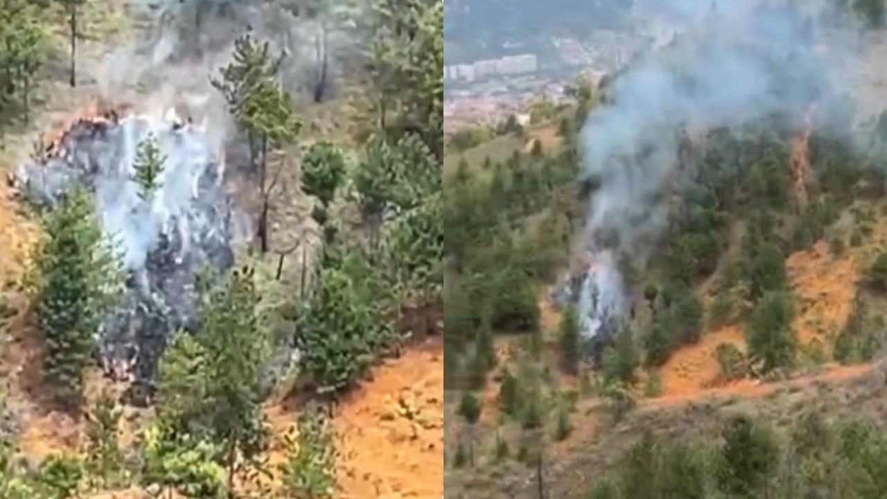 Así fue la captura del presunto responsable de provocar un incendio forestal en Bello