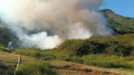 Fuego en el Quitasol: las llamas habrían llegado a más de 4 metros de altura en este punto de Bello