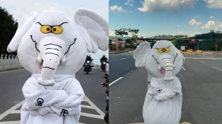 ¿Quién es 'Elefante Blanco'? Elsenador que asumió su curul con la indumentaria de su proyecto digital