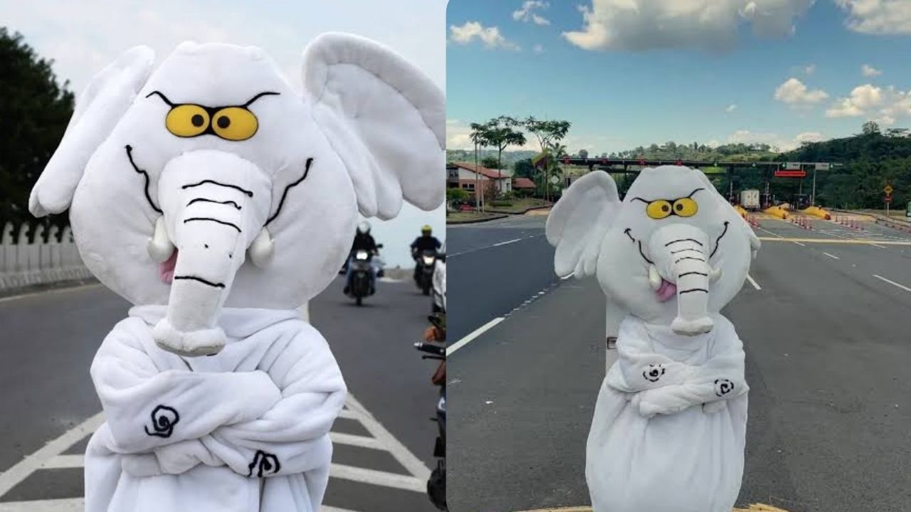 ¿Quién es 'Elefante Blanco'? Elsenador que asumió su curul con la indumentaria de su proyecto digital
