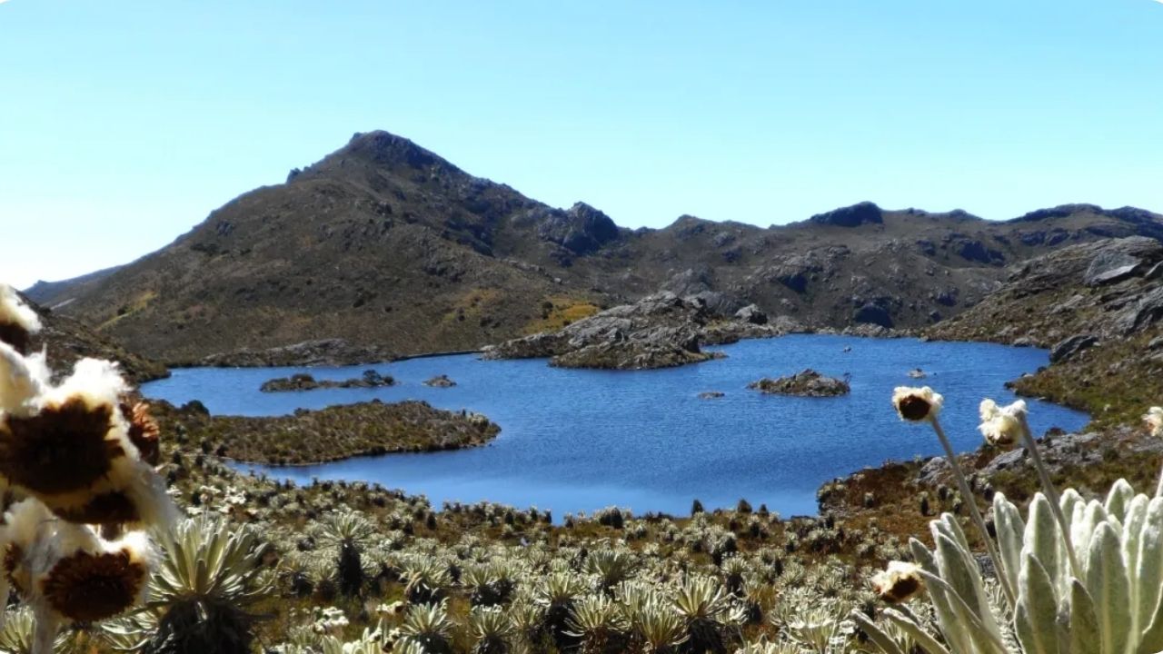 Gobierno conocía la ubicación de túneles de minería ilegal en Santurbán desde hace más de dos años, no los cerró