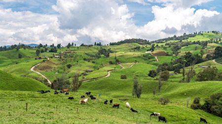 Autoridades entregan balance técnico de la inspección en la quebrada La Torura en Entrerríos