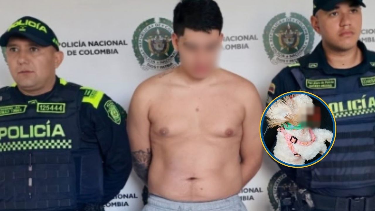 Capturan a un joven que habría lanzado desde un alto piso a la perrita "Princesa" y agredido a su pareja