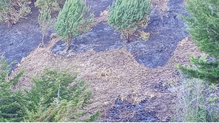 Bomberos de Belmira controlaron un incendio forestal en la vereda San José
