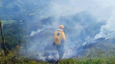VIDEO: ¿Qué provocó la emergencia? Controlan en su totalidad incendio forestal en Barbosa