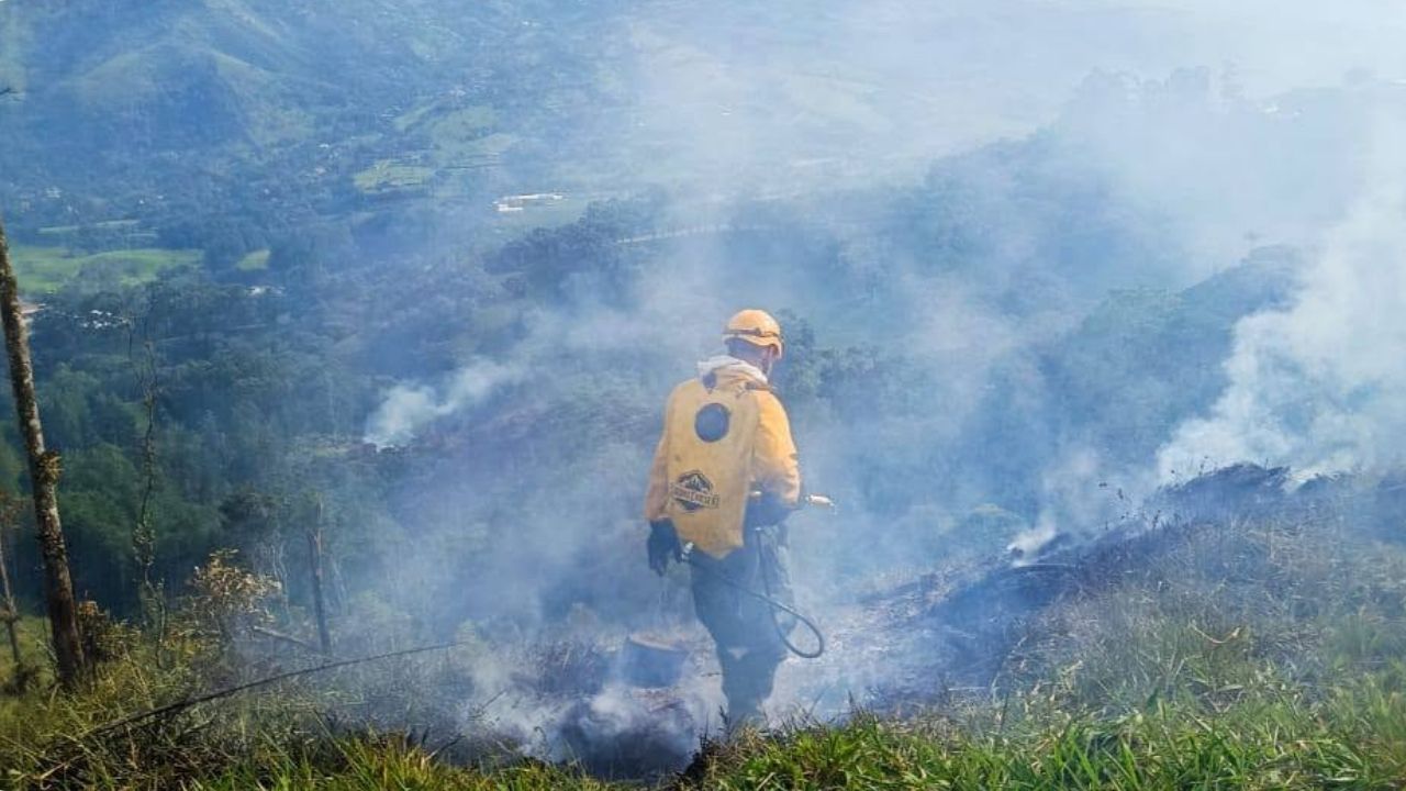 VIDEO: ¿Qué provocó la emergencia? Bomberos controlan incendio forestal en Barbosa