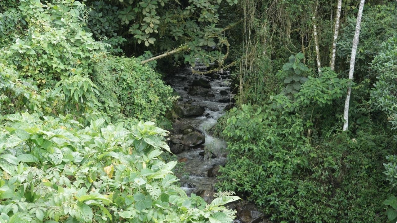 Medellín protege más de 4.100 hectáreas para garantizar el abastecimiento de agua en zonas rurales
