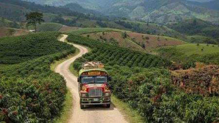 ¿Adiós a las APPA? Así cambiará el panorama para los agricultores del Suroeste antioqueño ¿Adiós a las APPA? Así cambiará el panorama para los agricultores del Suroeste antioqueño