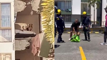 VIDEO: Organismos de socorro rescatan a las perritas Kiara y Luna de un edificio colapsado en Pereira