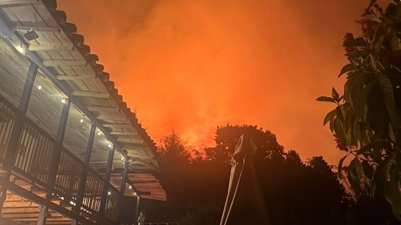 VIDEO: Emergencia en Abejorral: incendio forestal amenaza viviendas y la reconocida «Casa en el Aire»