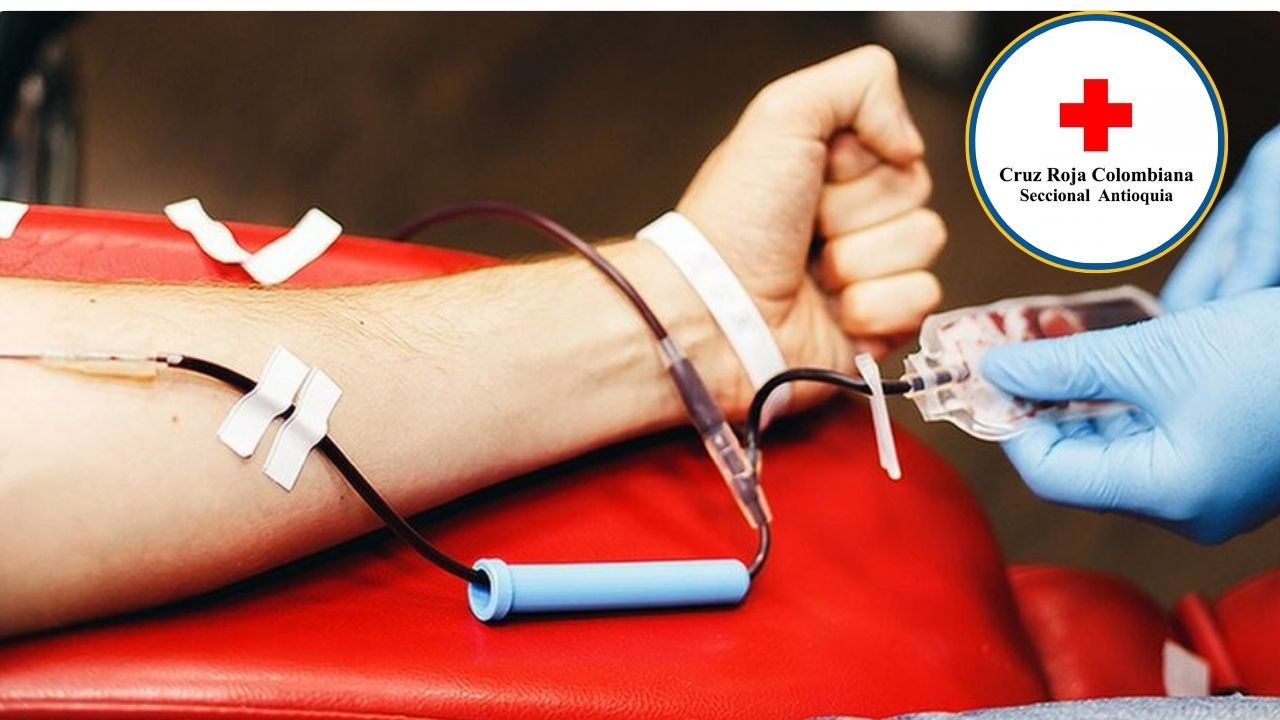 Cruz Roja Antioquia pasó de 20 a 300 donantes de sangre diarios después del terremoto