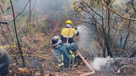 Incendio forestal en Bello se reactivó después de haber sido controlado por autoridades locales LAURA PAG 2026 08 14T080405.558