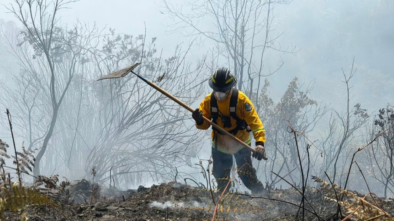 ¿Quemas no autorizadas? Reportan 51 incendios forestales en nueve municipios del Oriente antioqueño