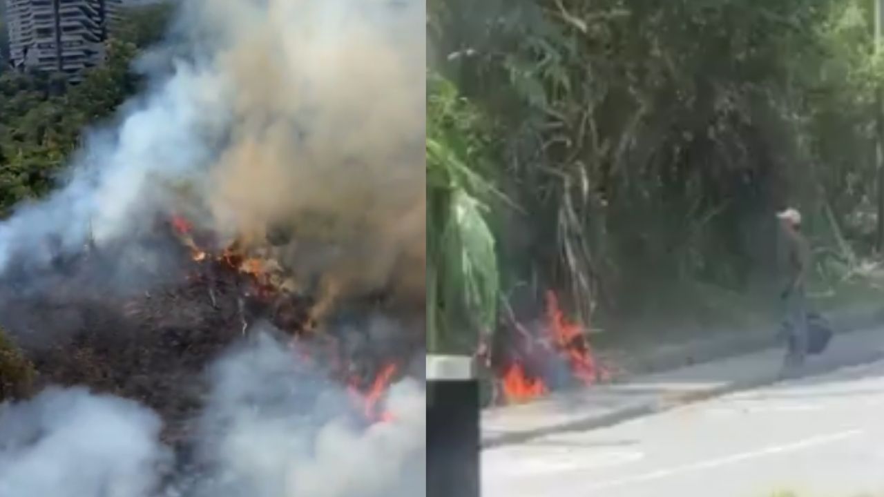 VIDEO: ¿Por qué lo hizo? Capturan a un hombre que habría provocado un incendio en la vía Las Palmas
