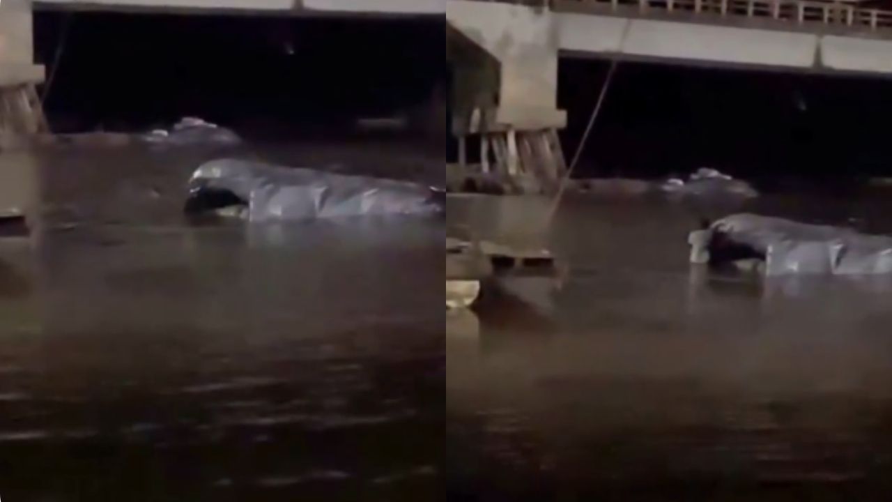 VIDEO: Camión cargado con plátano cayó al río San Juan en San Juan de Urabá