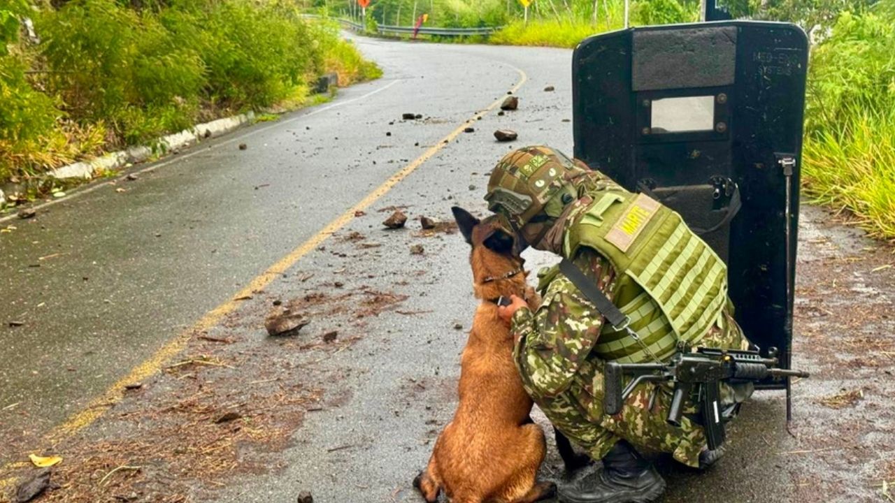 Así fue la maniobra militar para desactivar una carga explosiva y reabrir la vía a Ituango