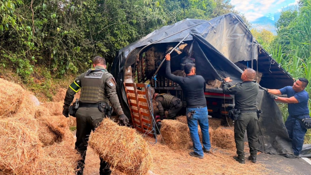 Autoridades incautaron más de 2.100 kilos de marihuana tipo creepy, avaluados en $1.688 millones, ocultos en un camión accidentado y abandonado.