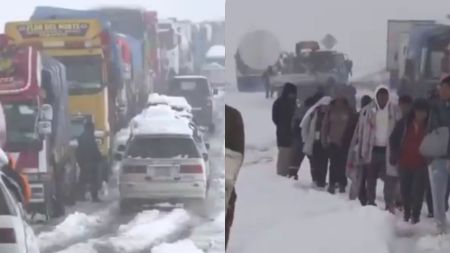 Inusual nevada en Bolivia destruye cultivos y deja cerca de 1.500 animales muertos Inusual nevada en Bolivia destruye cultivos y deja cerca de 1.500 animales muertos