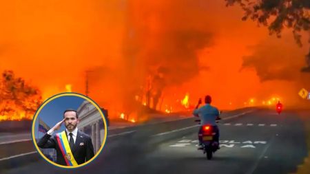 Abelardo De La Espriella habló sobre los incendios en Tolima: "Aquí hay manos criminales incendiando nuestra tierra"