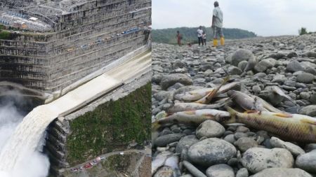 Hidroituango operará con mitad de capacidad debido a que el río Cauca alcanzó mínimos históricos por Fenómeno de El Niño