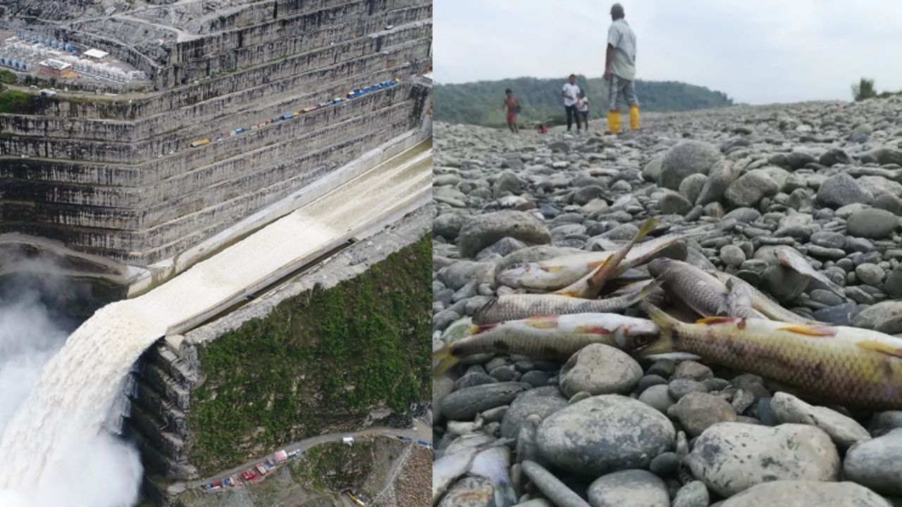 Hidroituango operará con mitad de capacidad debido a que el río Cauca alcanzó mínimos históricos por Fenómeno de El Niño