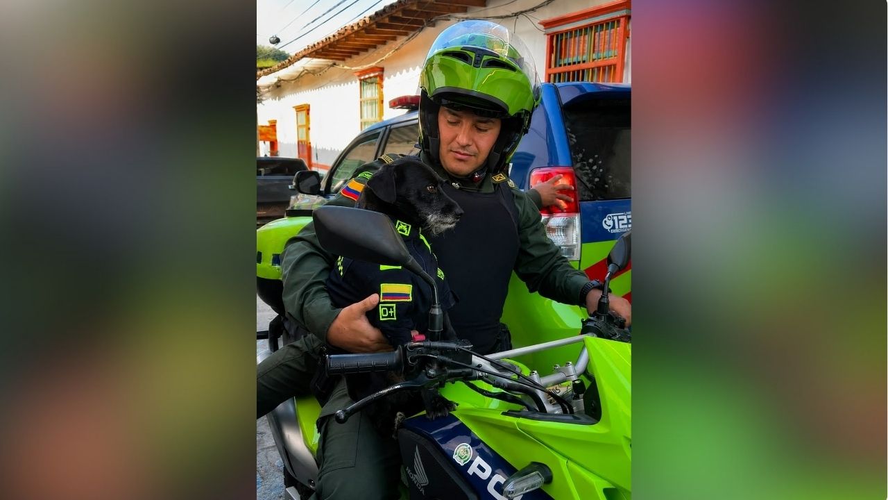 Barbas, perrito que acompañó por más de 10 años a la Policía de Concepción, falleció: "dejó una huella imborrable en nuestros corazones"