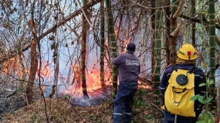 Fuego bajo control en el 84% de las zonas afectadas por incendios en Tolima
