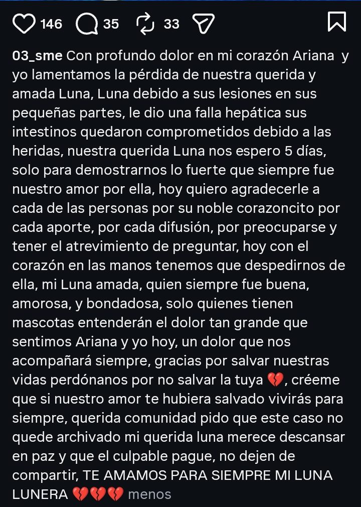 Luna no resistió; murió la perrita rescatada luego de sufrir un brutal caso de maltrato en San Roque 1 Luna no resistió; murió la perrita rescatada luego de sufrir un brutal caso de maltrato en San Roque