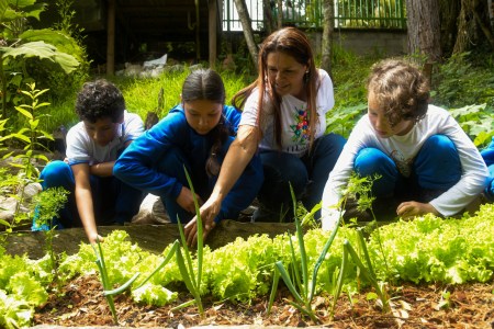 70 colegios de Medellín implementan acciones de sostenibilidad con la estrategia Colegios Verdes