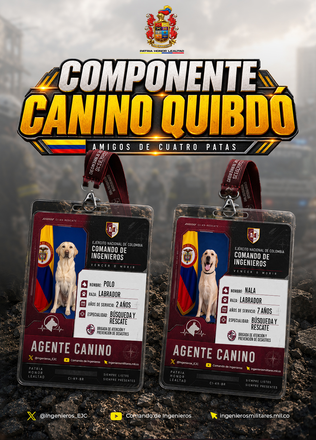"Detrás de cada búsqueda hay una familia": conozca a los perros rescatistas del Ejército desplegados en Quibdó, Cali y Pereira