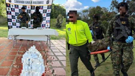 Murió alias «Perjuicio» en operación militar en Andes: jefe de sicarios del Clan del Golfo con 5 años de trayectoria criminal Murió alias "Perjuicio" en operación militar en Andes: jefe de sicarios del Clan del Golfo con 5 años de trayectoria criminal