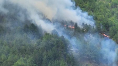 ACTUALIZACIÓN | Apagaron el incendio en el Cerro Quitasol de Bello; habría sido provocado intencionalmente por menores de edad ACTUALIZACIÓN | Apagaron el incendio en el Cerro Quitasol de Bello; habría sido provocado intencionalmente por menores de edad