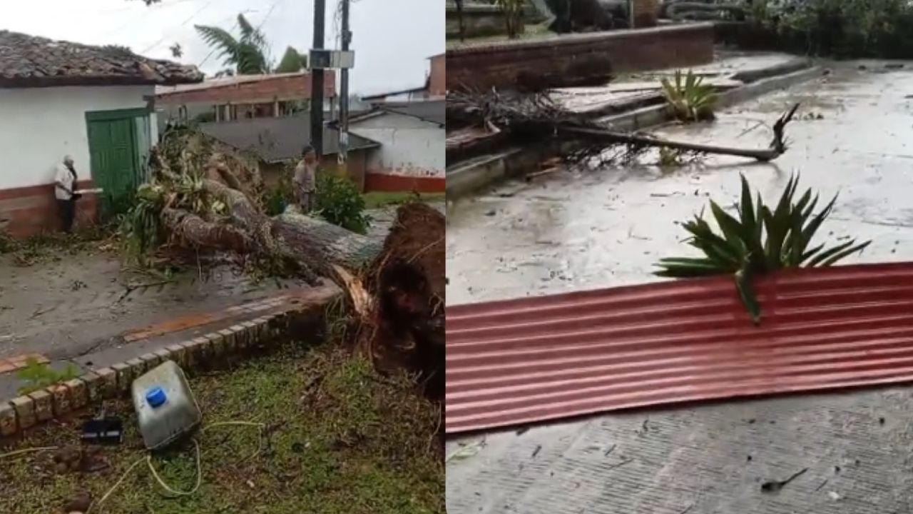 VIDEO: Vendaval provocó daños materiales en el corregimiento Cestillal de Cañasgordas
