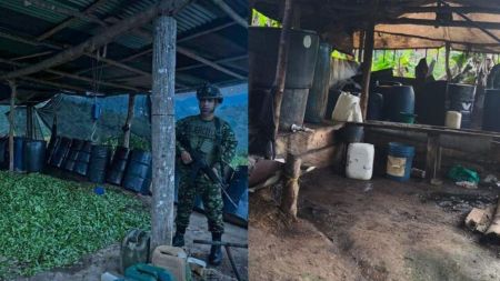 Ejército desmanteló dos laboratorios de pasta base de coca en Valdivia: $80 millones en afectación al Clan del Golfo
