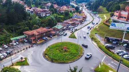 Movilidad reducida en doble calzada de la Avenida Las Palmas por caída de árbol