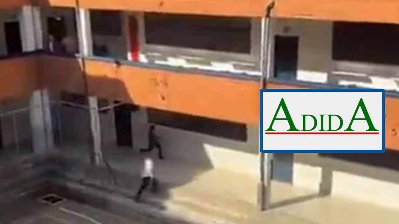 "La escuela es territorio de paz": ADIDA exige respuestas tras disparos de un alumno en colegio de Medellín