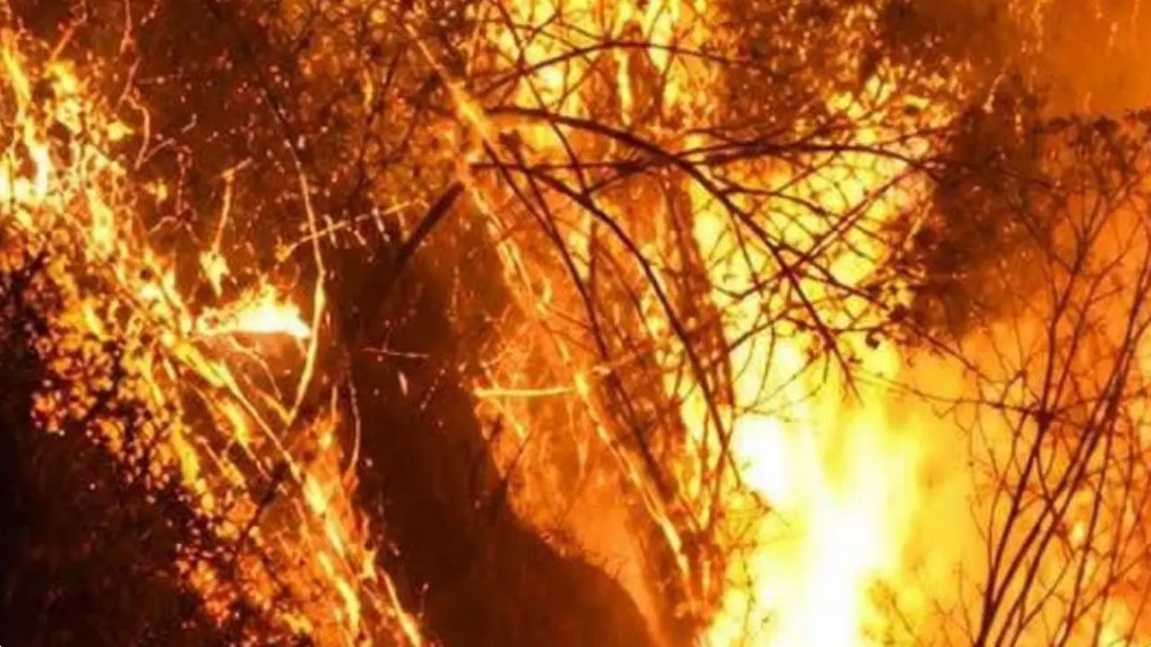 DAGRAN despliega apoyo aéreo y bomberos de cuatro municipios para contener incendio en La Estrella