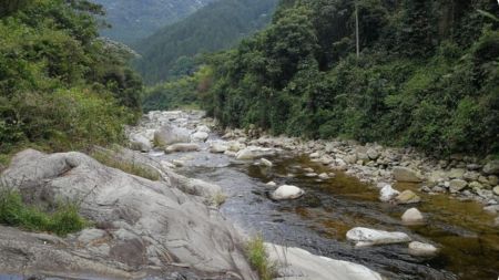 Hallaron dos hombres muertos con las manos atadas en río Tapartó de Andes: heridas por arma cortopunzante Hallaron dos hombres muertos con las manos atadas en río Tapartó de Andes: heridas por arma cortopunzante
