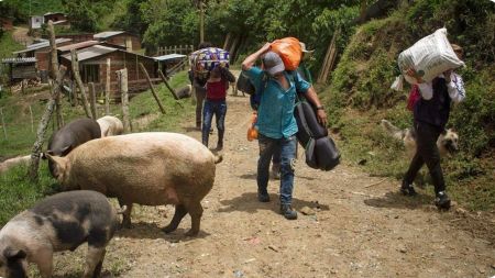 Defensoría del Pueblo alertó a las autoridades por desplazamientos en Anorí y advirtió grave riesgo en Antioquia LAURA PAG 2026 09 14T072145.518