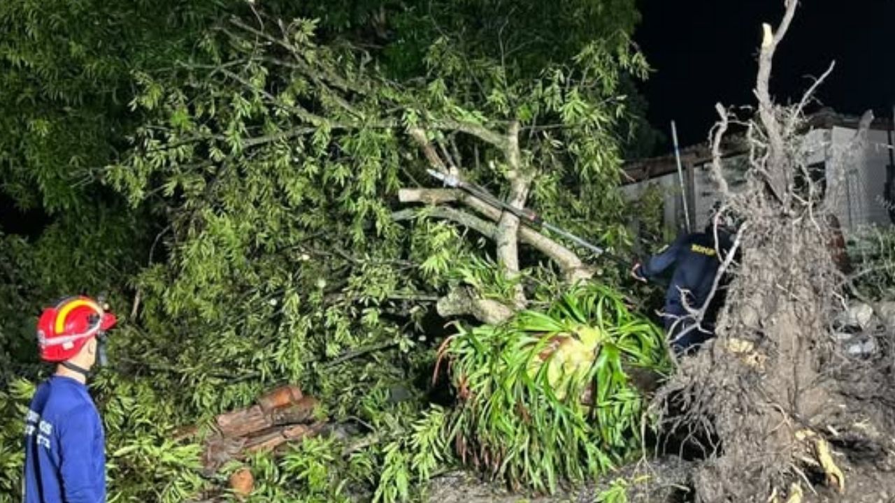 Caída de árboles y afectaciones por vendaval generan atención de emergencias en Sopetrán