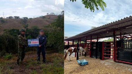 Ocupan 42 bienes que estarían vinculados a presuntos testaferros de ‘Pacho Herrera’ Ocupan 42 propiedades vinculadas a presuntos testaferros de ‘Pacho Herrera’, incluyendo un predio en Sonsón